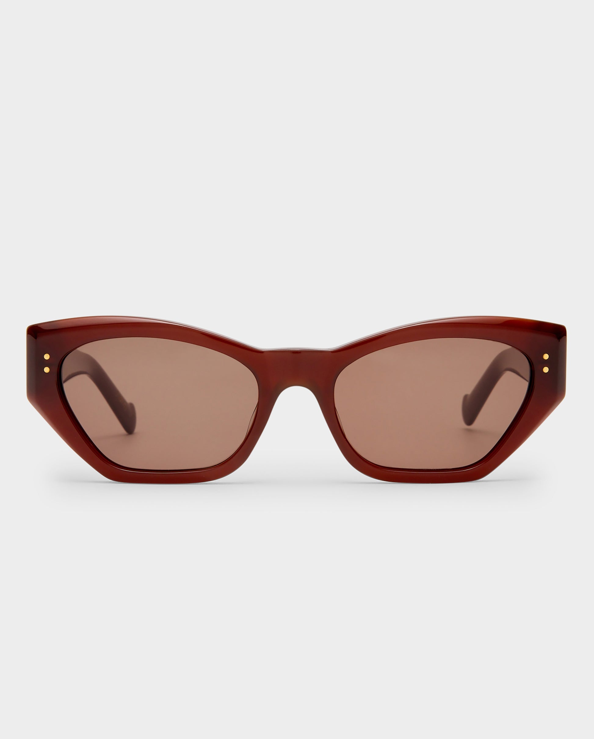 The Sydney Chocolate Female Cat-Eye Sunglasses | Luv Lou