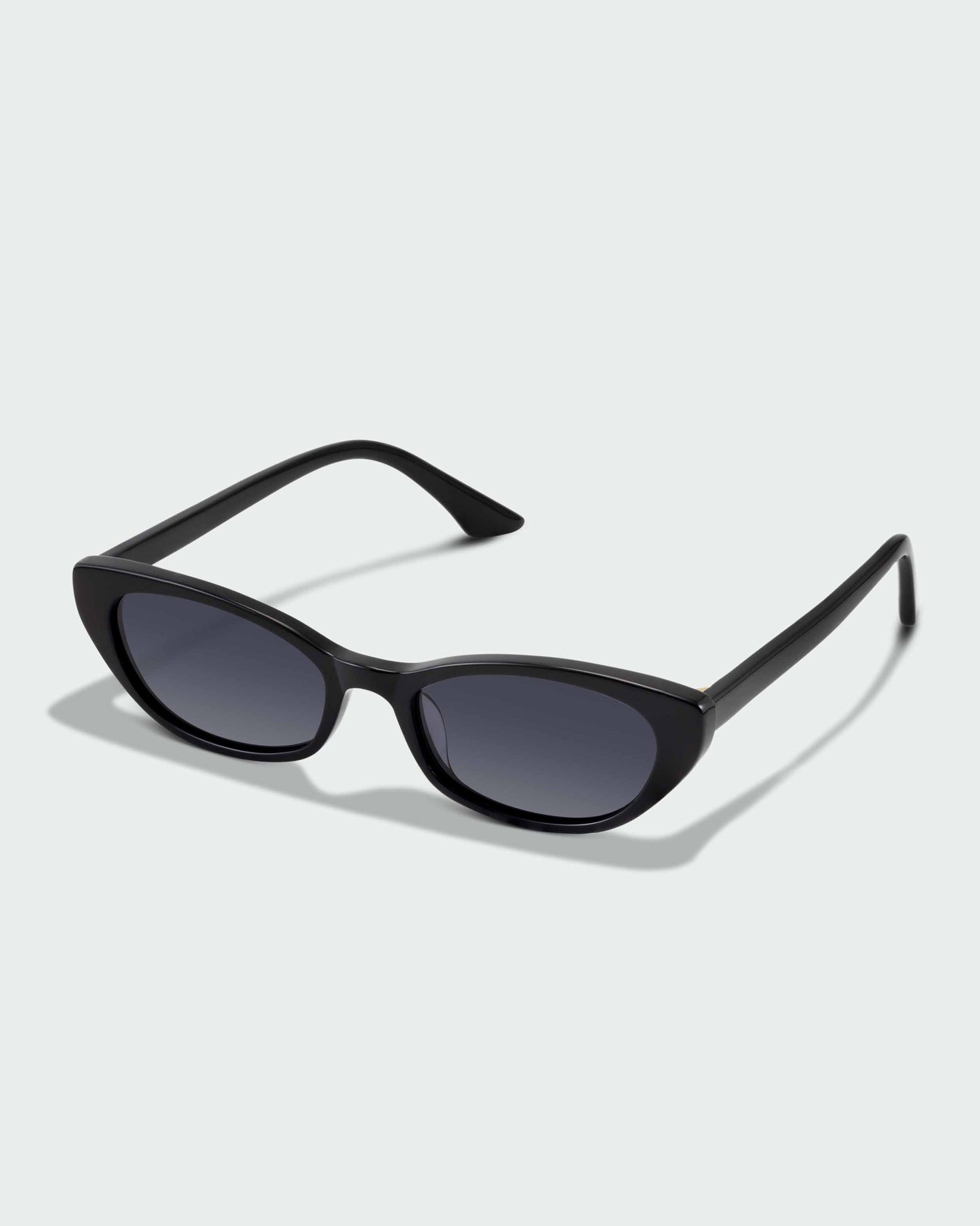 The Taylor - Black