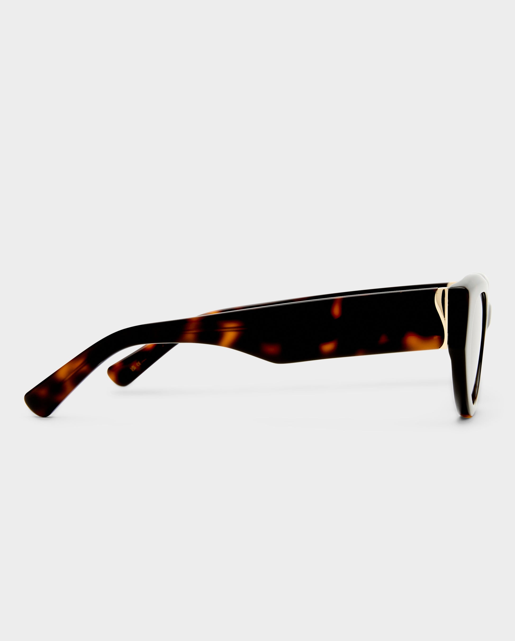 The Poppy Tort Female Cat-Eye Sunglasses | Luv Lou