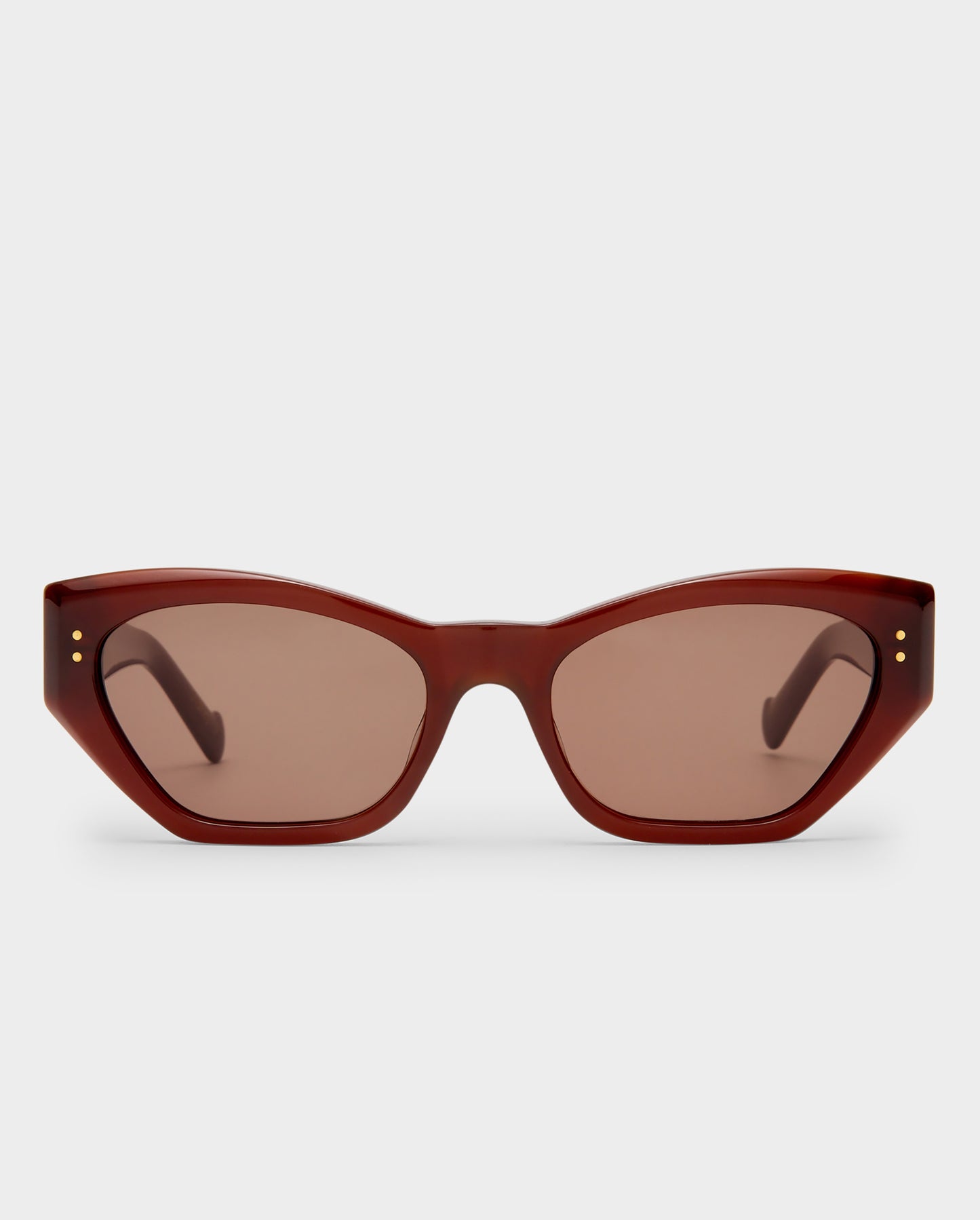 The Sydney Chocolate Female Cat-Eye Sunglasses | Luv Lou