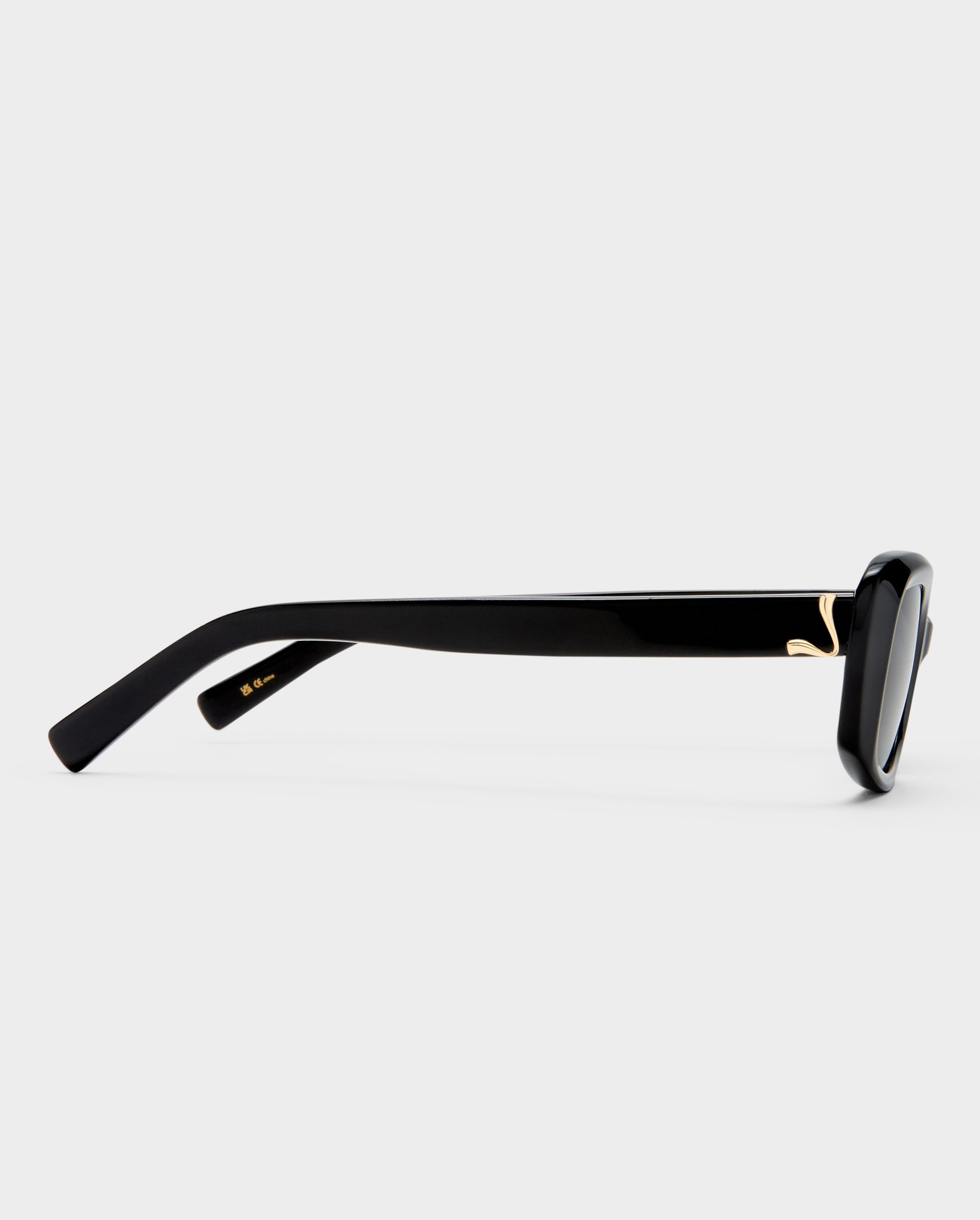 The Sienna Black Female Rectangle Sunglasses | Luv Lou